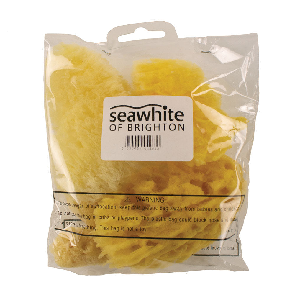 Artists' Natural Sponge Mixed Pack