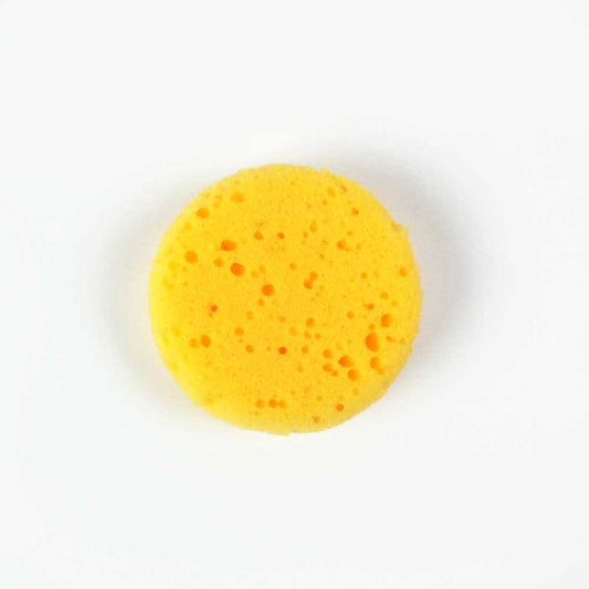 Synthetic Art Sponge