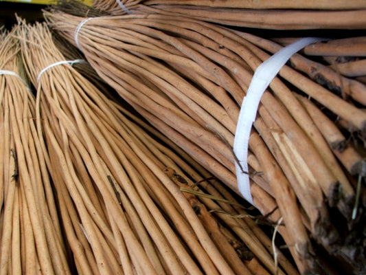 3 Colour Willow Withies